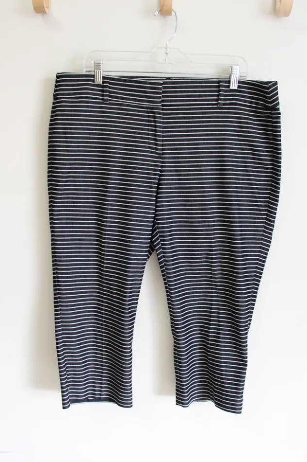 Ann Taylor LOFT Earrings LOFT Original Striped Capri Pant 14 Petite