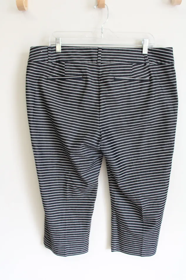 Ann Taylor LOFT Earrings LOFT Original Striped Capri Pant 14 Petite