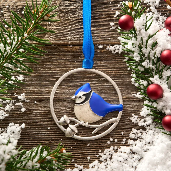 Chadds Ford Jewelry Rings Blue Jay Branch Ornament Gift Set