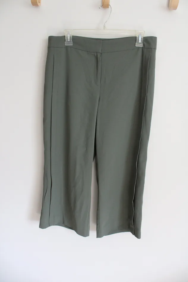 Earrings Ann Taylor LOFT Ann Taylor Sage Green Loose Capri Pants 8 Petite