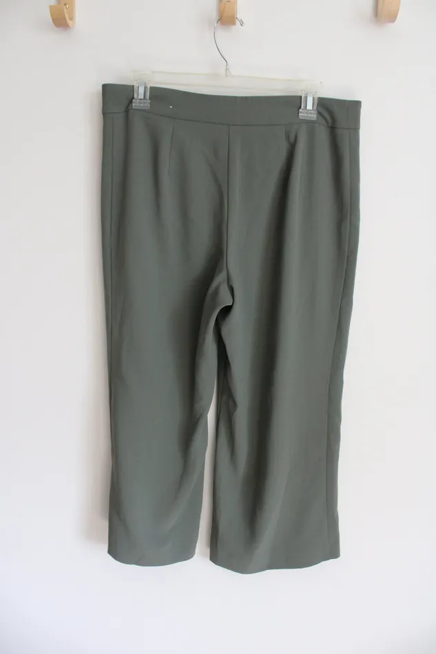 Earrings Ann Taylor LOFT Ann Taylor Sage Green Loose Capri Pants 8 Petite