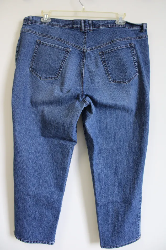 Earrings Gloria Vanderbilt Gloria Vanderbilt Jeans 22 Short