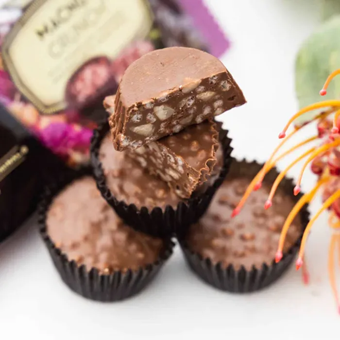 Earrings HAWAIIANHOST Hawaiian Host Macnut Crunch in Milk Chocolate