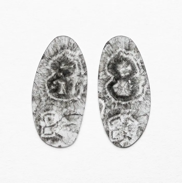 Earrings Misfit Diamonds 601cttw 2pc 2844x1400x063mm 2840x1337x066mm Diamond Slice Matching Pair 1926714 Earrings Misfit Diamonds 601cttw 2pc 2844x1400x063mm 2840x1337x066mm Diamond Slice Matching Pair 1926714