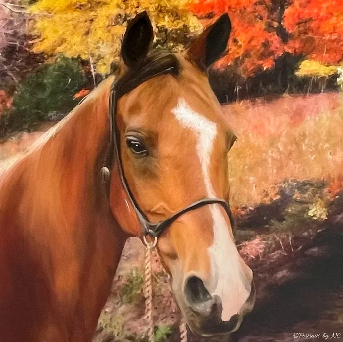 Earrings Portraits by NC Horse Portrait in Oil Arabian named Tada