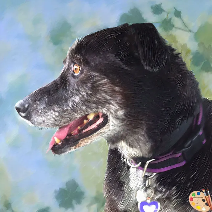 Earrings Portraits by NC Old Dog Portrait Digital Pet Portrait