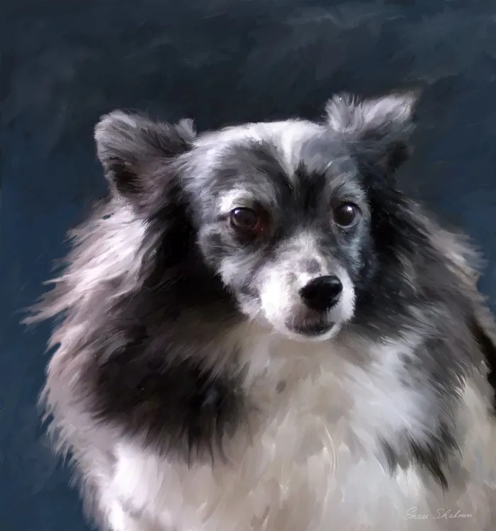 Earrings Portraits by NC Papilion Dog Digital Pet Portrait