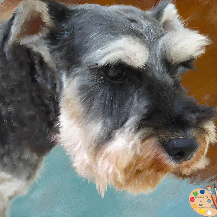 Earrings Portraits by NC Schnauzer Dog Portrait