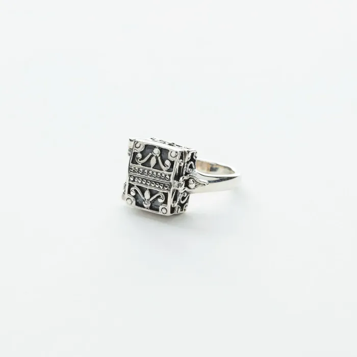 Filigree Chest Style Locket Ring in Silver Tiger Mountain Rings