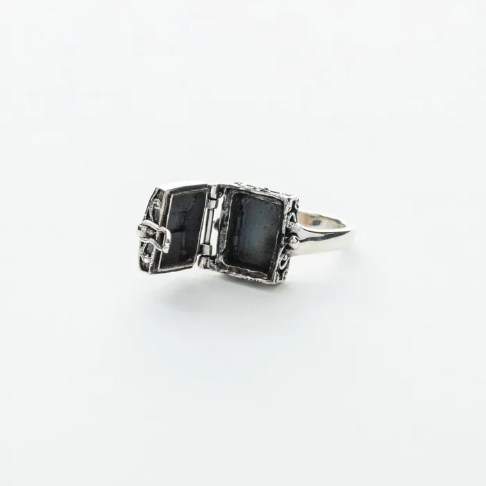Filigree Chest Style Locket Ring in Silver Tiger Mountain Rings