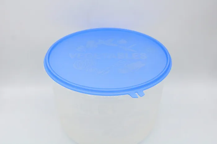 Large Vegetables Kitchen Storage Container Jubilee Thrift Earrings