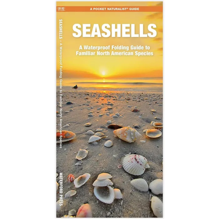 NATIONALBOOKNET Earrings Seashells Folding Pocket Guide to Familiar Seashells NATIONALBOOKNET Earrings Seashells Folding Pocket Guide to Familiar Seashells