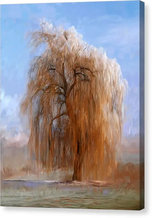 Portraits by NC Necklaces Stretched Canvas Print The Lone Willow Tree Landscape Print Portraits by NC Necklaces Stretched Canvas Print The Lone Willow Tree Landscape Print