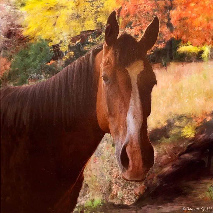 Quarter Horse Portrait in Oil Portrait of Jud Portraits by NC Necklaces