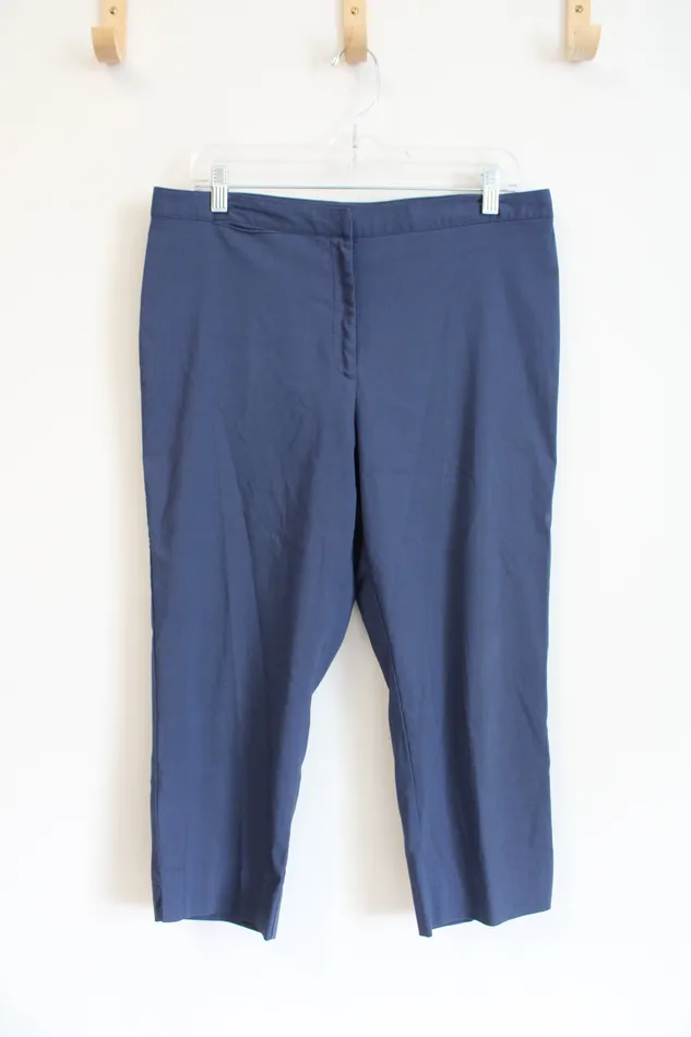 Rings Express Stretch Blue Capri Pants 1112 Express