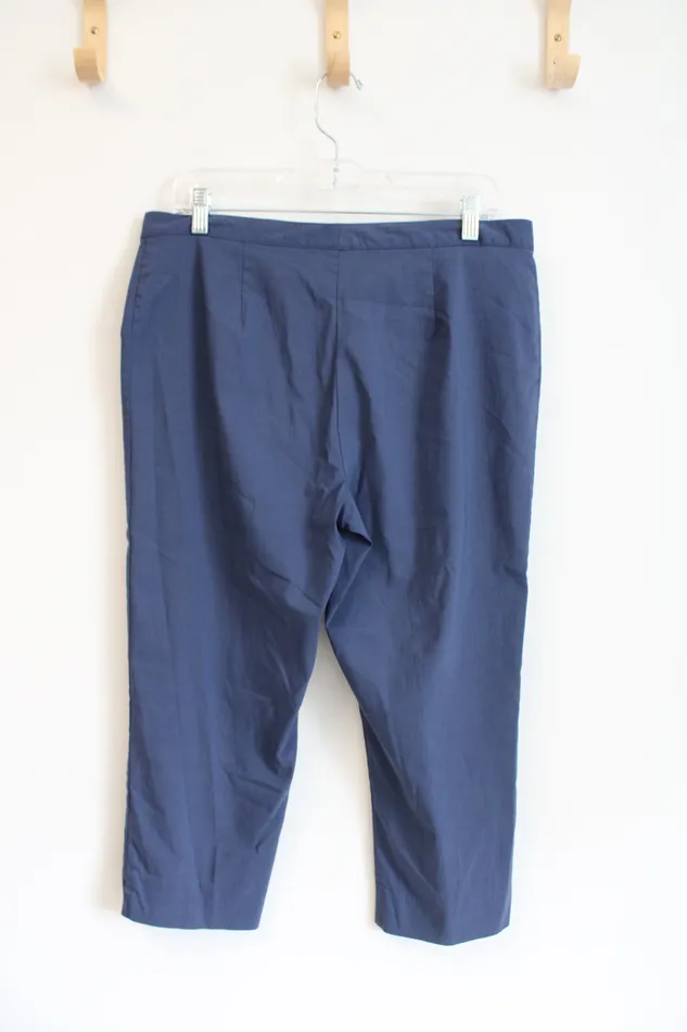Rings Express Stretch Blue Capri Pants 1112 Express