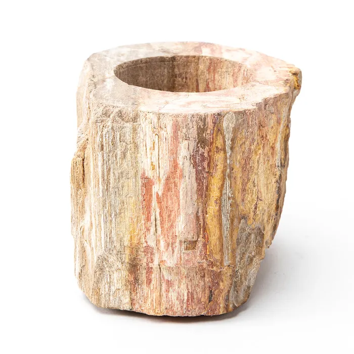 Sacred Statues Petrified Wood Candle Holder Earrings