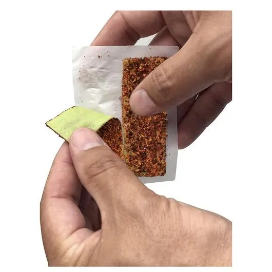 SALTEEZ Salteez Salt Strips CHILI LIME Earrings