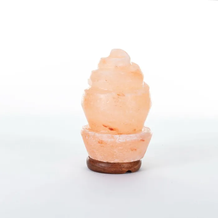Seashell Rock Salt Lamp Salt Lamp Earrings