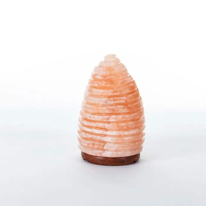 Seashell Rock Salt Lamp Salt Lamp Earrings