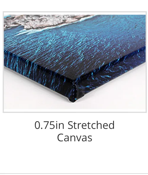 Star Fish Canvas Print Nautical Canvas Print Portraits by NC Earrings